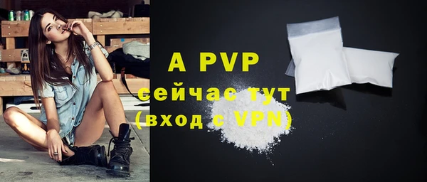 спиды Абаза