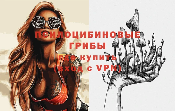 спайс Алзамай