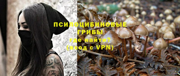 спиды Абаза