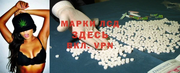 спайс Алзамай