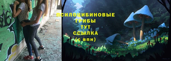 крисы Алексеевка