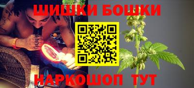 шишки Бердск