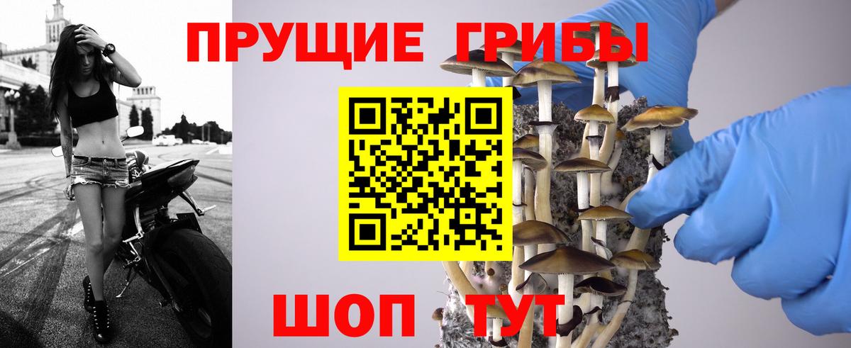 Архангельск  Галлюциногенные грибы Cubensis  Вход с VPN 